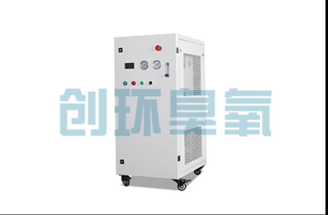 磁县工厂化养鲈必看:2026年臭氧发生器替代传统消毒的最新方案