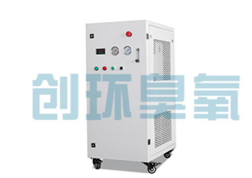 磁县石斑鱼养殖水质调控完整指南:臭氧发生器配置与操作步骤