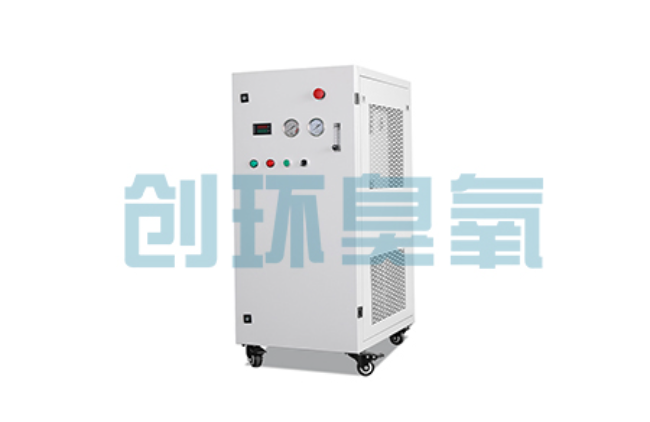 磁县比传统换水更高效?臭氧发生器在石斑鱼养殖中的水质净化原理解析