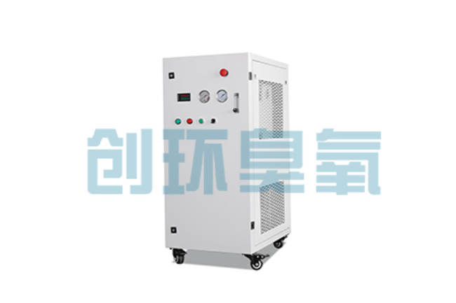 磁县比传统换水更高效？臭氧发生器在石斑鱼养殖中的水质净化原理解析
